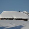 20050226_Oberegg_208